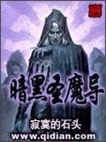 小说《暗黑圣魔导》TXT百度云_暗黑圣魔导