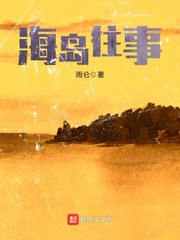男主女主是杨文昭,韩卫东,徐颖的小说是什么_海岛往事