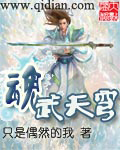 小说《魂武天穹》TXT下载_魂武天穹