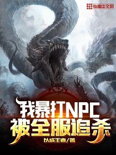 小说《我暴打NPC被全服追杀》TXT百度云_我暴打NPC被全服追杀