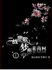 二战悲歌梦断莱茵河txt_二战悲歌：梦断莱茵河