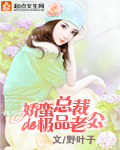 男主女主是安宇轩,江雪,王蓝的小说是什么_娇蛮总裁的极品老公