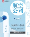 航空公司王倩小说_航空公司