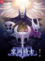 空洞骑士boss位置_空洞骑士