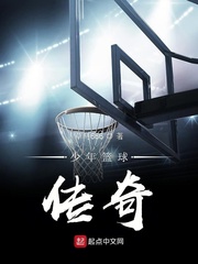 篮球传奇小说_少年篮球传奇