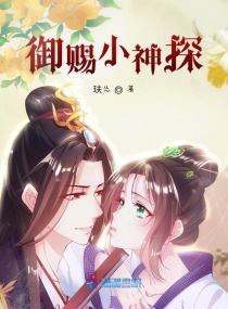 男主女主是叶佳乐,君墨,夏侯的小说是什么_御赐小神探