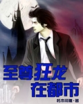 小说《至尊狂龙在都市1》TXT下载_至尊狂龙在都市1