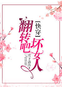 小说《翻转吧，坏女人[快穿]》TXT百度云_翻转吧，坏女人[快穿]