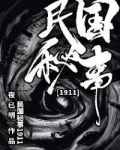 民国1911 小说_民国秘事1911