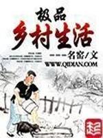 男主女主是李峰,林颖,张兰的小说是什么_极品乡村生活