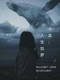 凯风小罗《斗龙2：人生如梦》_斗龙2：人生如梦