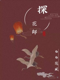 小说《陈情令：探花郎》TXT下载_陈情令：探花郎