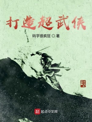 男主女主是阿朱,杨国仁,艾磊的小说是什么_打造超武侠
