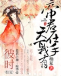 [小说] 《帝君在手，天下我有》作者：柏夏  文案：  门当户对这个字眼，瑶音自小便知晓得清楚， 麻雀变凤凰_帝君在手，天下我有