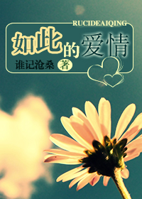 男主女主是沈言,许晔,薛铭的小说是什么_如此的爱情
