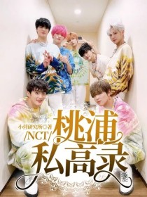 小说《NCT：桃浦私高录》TXT百度云_NCT：桃浦私高录