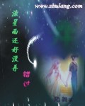 男主女主是刘玲,小阳,上官的小说是什么_流星雨还好没再错过