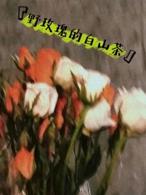 男主女主是黎安琦,苏琳依,孟欣的小说是什么_野玫瑰与白山茶