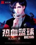男主女主是刘亦风,赵夏龙,林峰的小说是什么_热血篮球之风之子