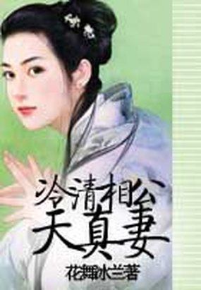 男主女主是百晓菲,菲儿,苏慕禾的小说是什么_冷清相公天真妻