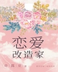 男主女主是黄小烨,舒雯,杨可琴的小说是什么_恋爱改造家