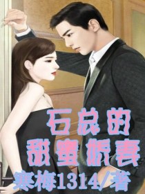 男主女主是阿舍,林正茵,石涛的小说是什么_石总的甜蜜娇妻