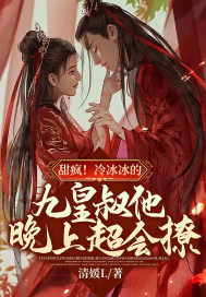 男主女主是萧慕岚,皇叔,林城的小说是什么_甜疯！冷冰冰的九皇叔他晚上超会撩！