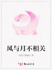 男主女主是程悦,白华,汉广乔的小说是什么_风与月不相关