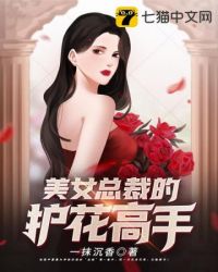 美女总裁的护花高手txt_美女总裁的护花高手