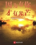 男主女主是刘学义,阿香,陈雷的小说是什么_因为有你才有光芒
