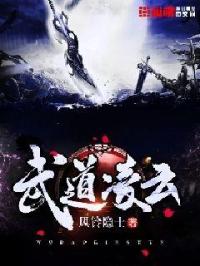 武道凌云完整版txt_武道凌云