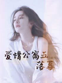 男主女主是沈安沅,张伟,胡一菲的小说是什么_爱情公寓五：落幕