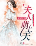 小说《婚婚欲醉：夫人萌上天.》TXT百度云_婚婚欲醉：夫人萌上天.