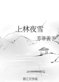 小说《上林夜雪》TXT下载_上林夜雪
