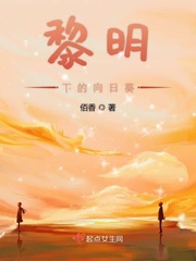 男主女主是栾子真,刘天黎,许菲的小说是什么_黎明下的向日葵