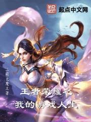 男主女主是王瑜陶,刘子明,王瑜的小说是什么_王者荣耀之我的游戏人生
