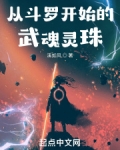 小说《从斗罗开始的武魂灵珠》TXT百度云_从斗罗开始的武魂灵珠