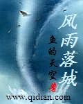 [小说]《风雨落城》完结 作者:鱼的天空  相信这本书会给大家带来一个全新的感觉，《风雨落城》的确还有许多不_风雨落城