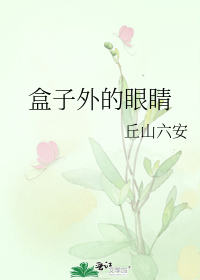 男主女主是段九泽,杨博文,王琴的小说是什么_盒子外的眼睛