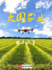 农业兴国小说_大国农业