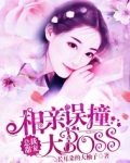 男主女主是许妍,张佩佩,何旭的小说是什么_相亲误撞大BOSS