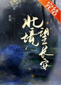 《北境望长安》作者：愿棠【完结】文案：病而不弱将军攻～清冷儒雅文官受某年深冬，夏亦峥顺手救下了一只被_北境望长安