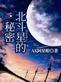 小说《神兽金刚之北斗星的秘密》TXT下载_神兽金刚之北斗星的秘密