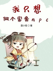 男主女主是王尔雅,宁锦玉,宁锦城的小说是什么_我只想做个富贵npc