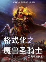 格式化之魔兽圣骑士_格式化之魔兽圣骑士