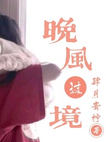 男主女主是北旭,何辰,白清河的小说是什么_晚风过境