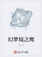 男主女主是殷辉,凯琳,张文渊的小说是什么_幻梦境之鹰