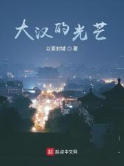 男主女主是刘彻,李广,马志宇的小说是什么_大汉的光芒