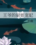 [小说][古装言情]《王爷的厨娘宠妃》TXT全集下载（全本） 作者：祈幽（晋江金牌推荐VIP）  晋江VIP_王爷的厨娘宠妃