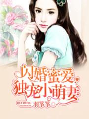 小说《闪婚蜜爱：独宠小萌妻》TXT下载_闪婚蜜爱：独宠小萌妻